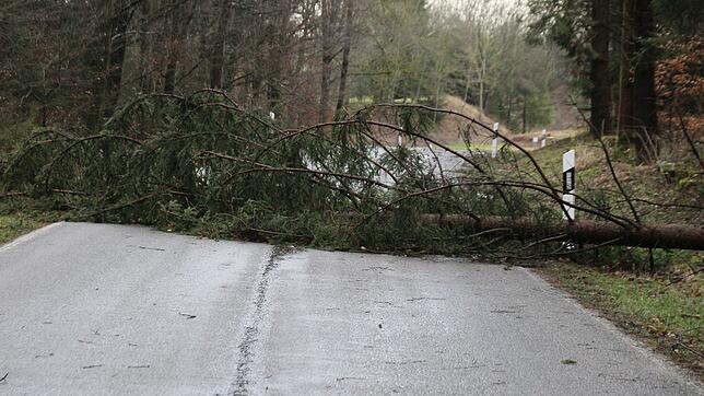 Dieser umgestürzte Baum blockiert die Straße von Mottschieß nach Lausheim.