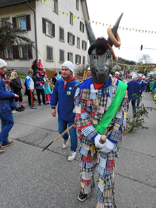 Bild 7: Die Bilder vom großen Umzug in Brigachtal-Klengen