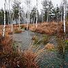 Durch Sperren wird das Wasser gestaut. Über Jahrzehnte soll das Moor im Tannhäuser Ried wieder vernässen.