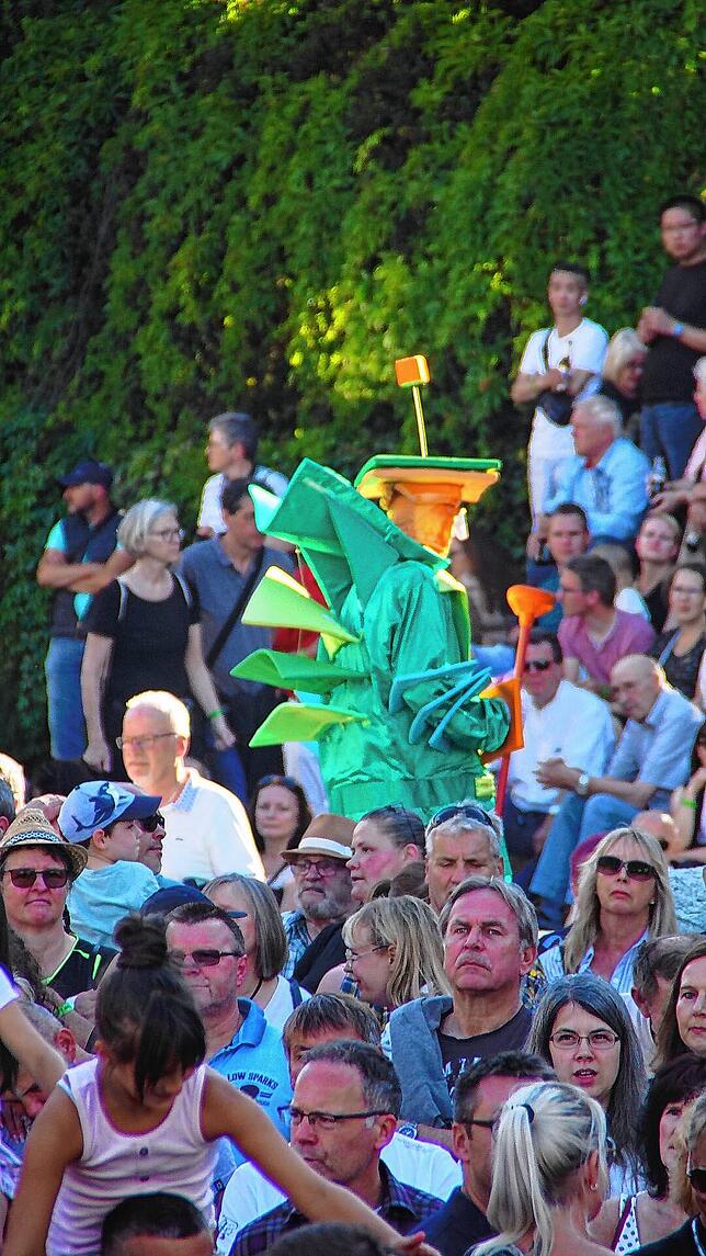 Bild 5: Bilder von der Schwenninger Kulturnacht