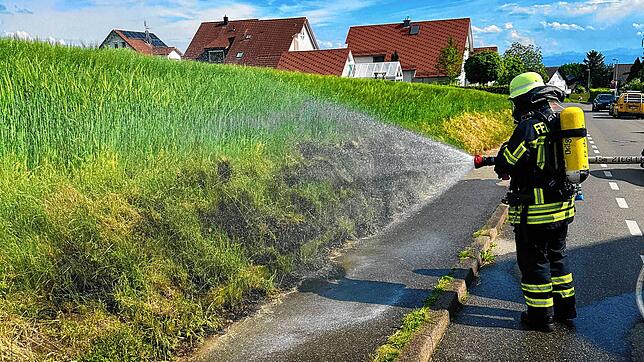 Löscharbeiten an einer Böschung in der Bussenstraße. Bilder: Feuerwehr