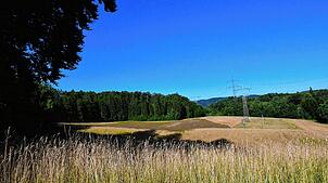 Das Gewann Schlappboden, wo der Solarpark entstehen soll. Foto: Heinz Vollmar