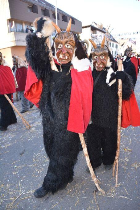 Bild 9: Bilder vom Narrentreffen der Urviecher-Zunft Bad Dürrheim: Großer Festumzug (5)
