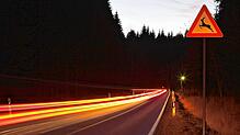 Im Frühjahr steigt die Wildunfall-Gefahr vor allem an Straßen entlang von Feldern und Wäldern.