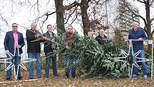 Bis Freitag wird dieser Weihnachtsbaum beim Siedlerheim stehen und leuchten. Dirk Oehle (IG Singen Süd), Claus Scheirle (Siedler), Marc ...