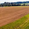 Grafenhausen setzt weiterhin auf das Standbein Industrie und weist neue Gewerbeflächen aus.
