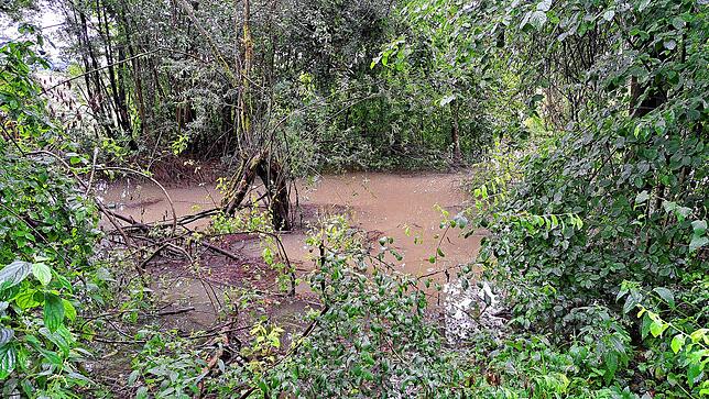 Bild 12: Unwetter am Bodensee: Die Folgen rund um Markdorf aus
