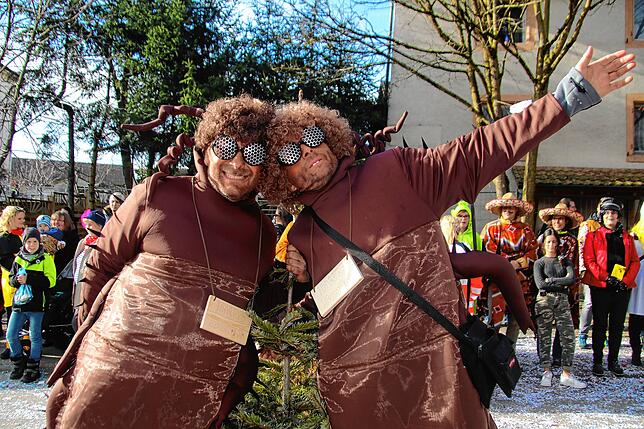 Tausende Narren und Fasnachtsfreunde feierten ausgelassen beim Narrentreffen in Schwerzen. Höhepunkt war der große Fasnachtsumzug am ...
