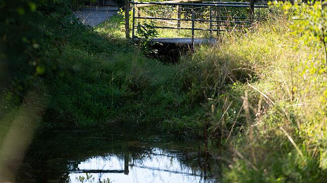 Unter der Brücke hatten Anwohner schon früh den Geruch mitbekommen.