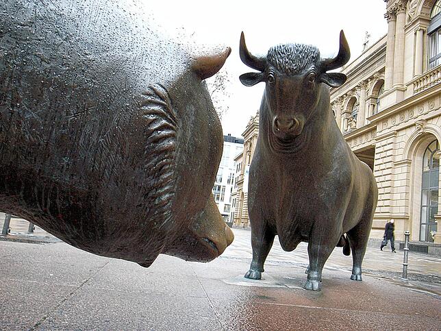 Bulle und Bär: Für viele langfristig die einzige derzeit lohnende Anlage mit vertretbarem Risiko: Aktien oder aktienbasierte Fonds und ETFs.