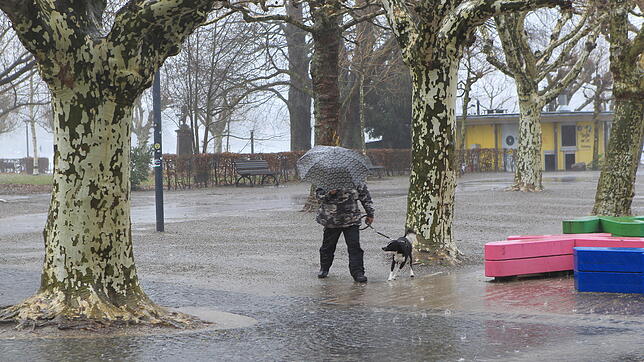 Bei Sturm und Regen kommen Outdoor-Aktivitäten nicht in Frage. In Konstanz gibt es zum Glück aber genug anderes zu tun.