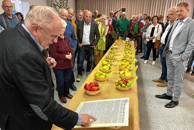 Eröffnung der Ausstellung von 200 Apfel- und Birnensorten im Billafinger Rathaus: Thomas Hepperle (links) stellt seine Lieblinge vor. ...