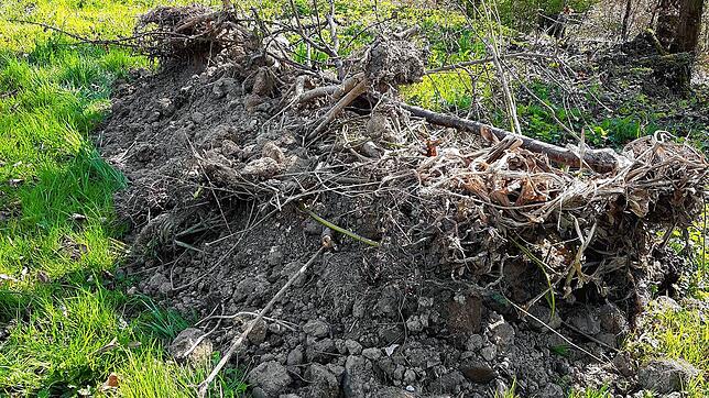 Waldbesucher, die Zeugen der illegalen Müllentsorgung geworden sind, werden gebeten, sich zu melden. Foto: Thomas Hirner