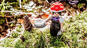 Die „Schwarzwald Marie“ ist eine Sonderfigur des Spielzeugherstellers Playmobil. Sie wurde in Kooperation mit der Baiersbronn-Touristik, ...
