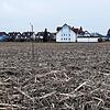 Die letzte Maisernte auf dieser Fläche? Möglicherweise wird am Neufracher Ortsrand bald gebaut.