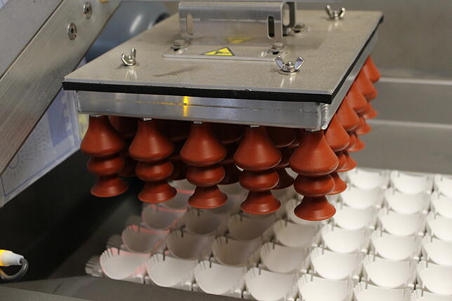 Nahezu alles läuft vollautomatisch. Dieses Gerät an der Verpackungsmaschine erzeugt ein Vakuum und hebt so die Eier an.