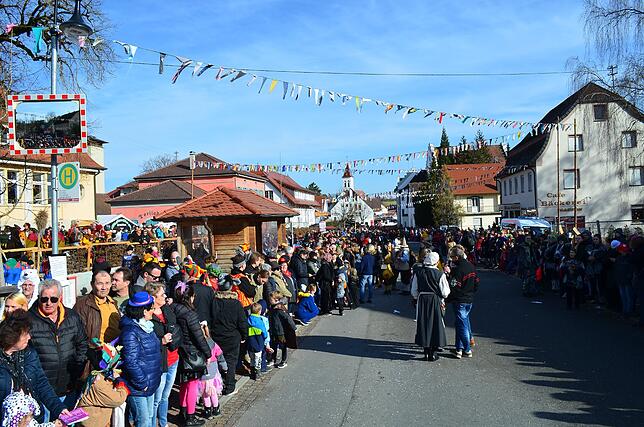 Bild 33: Eigeltinger Narrentage: Der Sonntagsumzug in Bildern (1)