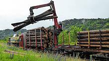 Der Kran schnappt sich die Baumstämme am Weizener Bahnhof und verlädt sie auf die Wagen.