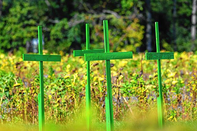 Bei Markdorf stehen mehrere grüne Holzkreuze als Mahnmahl der Bauern auf einer Wiese. Zahlreiche Landwirte haben im Jahr 2019 als ...