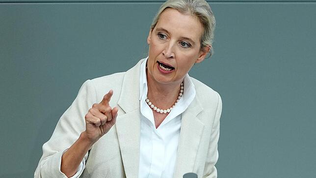 Alice Weidel war bei den Schlossfestspielen in Regensburg zu Gast. Bei einem abendlichen Konzert war sie dort aber nicht erwünscht.