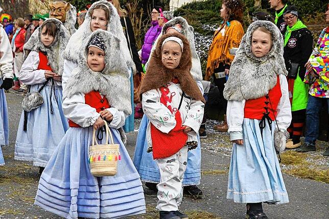 Bild 23: Narrenverein Heuliecher: Die besten Bilder aus dem Jubiläumsumzug