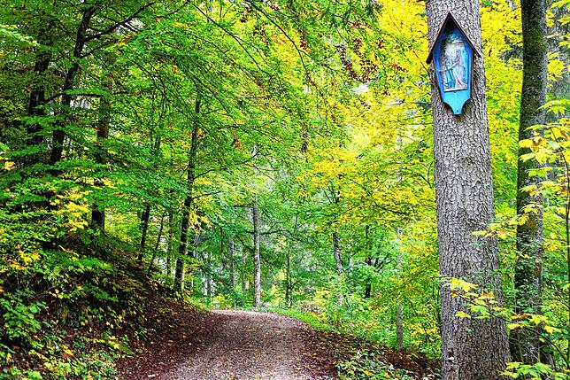 Auf dem idyllischen Spazierweg finden sich unter anderem auf Holztafeln die fünf Geheimnisse des freudenreichen Rosenkranzes.
