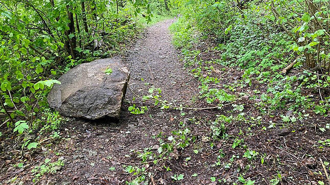 Wieder ist ein Felsen vom Hohentwiel gekracht: Dieses Felsstück mit einem Gewicht von rund 1,3 Tonnen stürzte am Dienstag auf den ...