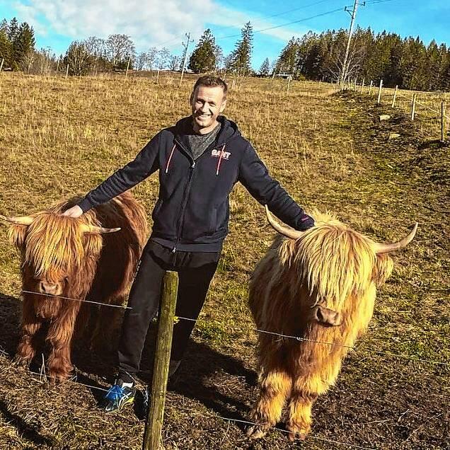Dieses Foto hatte Alexej Nawalny am 16. November 2020 auf seinem Instagram-Kanal gepostet. Es zeigt den russischen Oppositionspolitiker ...