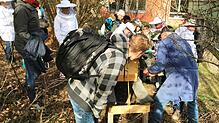 Gemeinsam mit dem Imkereverein Albbruck stellen die Schüler der Bienen AG einen Bienenkasten auf dem Gelände der Gemeinschaftsschule ...