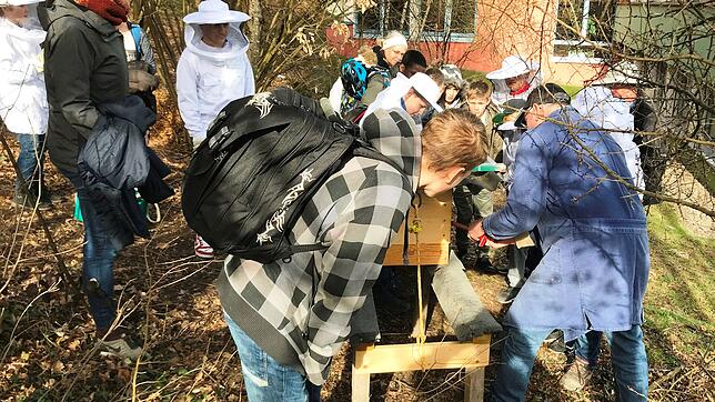 Gemeinsam mit dem Imkereverein Albbruck stellen die Schüler der Bienen AG einen Bienenkasten auf dem Gelände der Gemeinschaftsschule ...