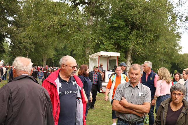Bild 17: Bilder vom Marathon der Vierspänner beim Reitturnier in Donaueschingen