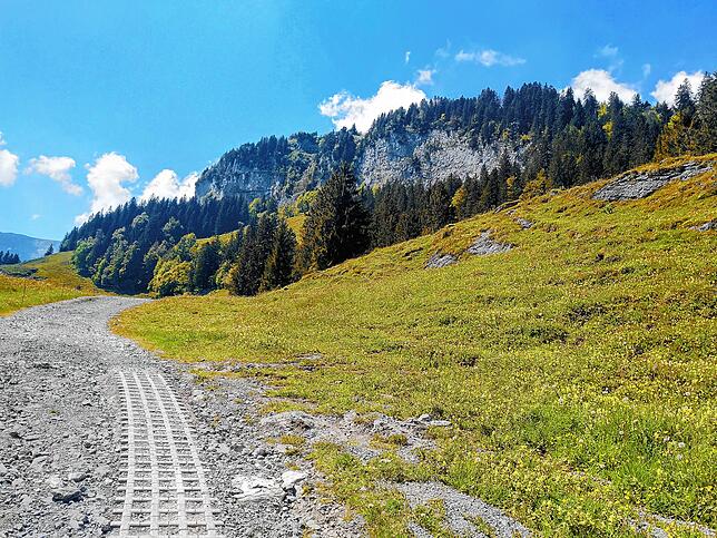 Bild 4: Normalerweise überrennen Touristen das Berggasthaus Aescher, doch wie sieht es dort jetzt aus? Wir nehmen Sie mit auf eine Wanderung