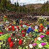 Kerzen, Blumen und einige Kuscheltiere liegen an der Stelle im Wald, an der die Menschen in Freudenberg Abschied von Luise nehmen.