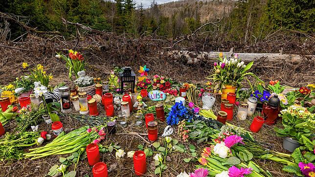 Kerzen, Blumen und einige Kuscheltiere liegen an der Stelle im Wald, an der die Menschen in Freudenberg Abschied von Luise nehmen.