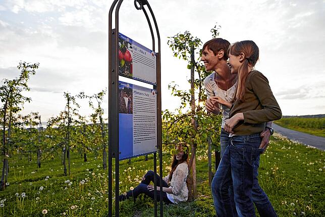 So macht Wandern auch Kindern Spaß: In Immenstaad erzählt ein Apfelweg Interessantes über den Obstanbau am Bodensee. In Hagnau erfährt ...