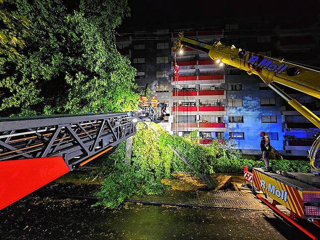 Zwei umgeknickte Bäume haben in der Rielasinger Straße in Singen größere Schäden angerichtet.