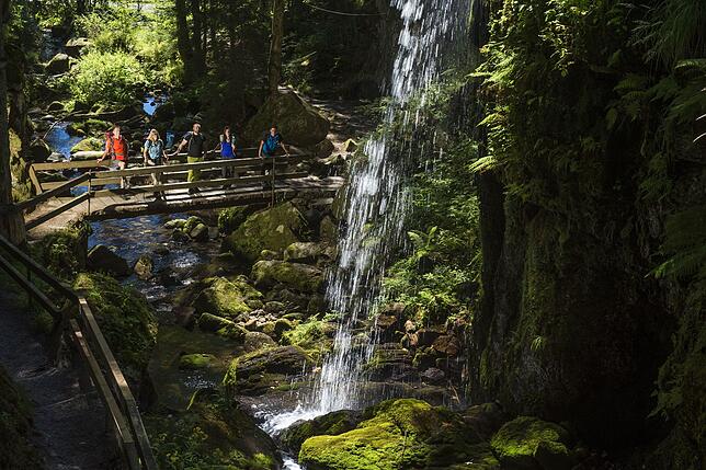 Zahlreiche Wasserfälle und andere Highlights erleben Wanderer auf dem Albsteig.