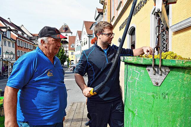 Winzer Herbert Schellinger (links) stellt seine Trauben dem Winzerverein Meersburg zur Verfügung, dieser macht daraus Wein. ...