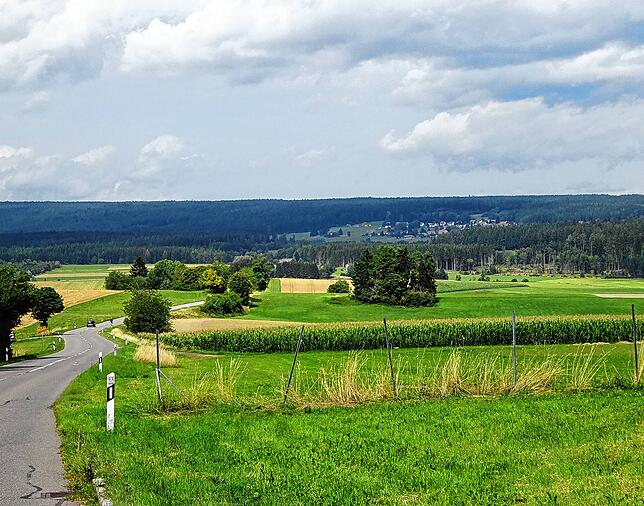 Wo sich Baar und Schwarzwald treffen: Die Straße von Dittishausen nach Unterbränd bietet einen weiten Ausblick und ist auch für ...