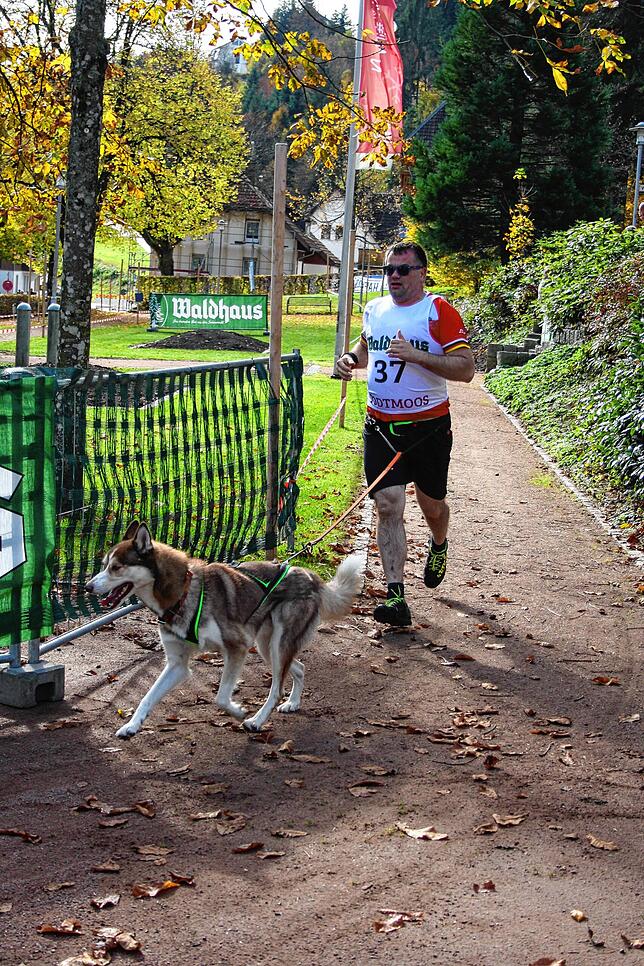 Bild 19: Bilder vom Schlittenhundewagenrennen in Todtmoos