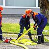 Bild :
