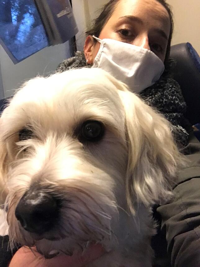 Anna-Maria Schneider und Familienhund Pete zu Weihnachten 2020.