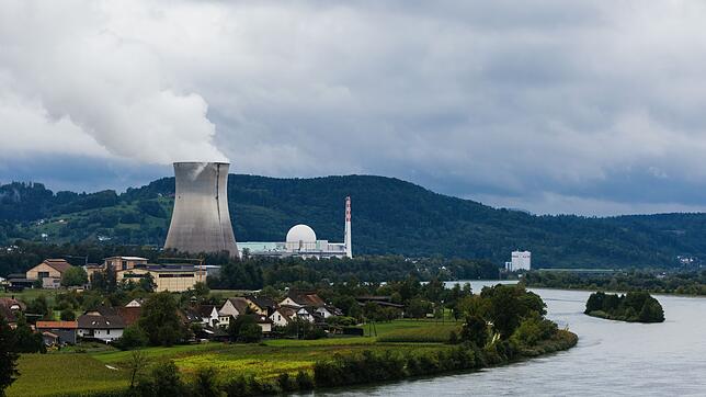 Das Kernkraftwerk im schweizerischen Leibstadt steht direkt am Rhein und ist mehr als 40 Jahre alt. (Archivbild)
