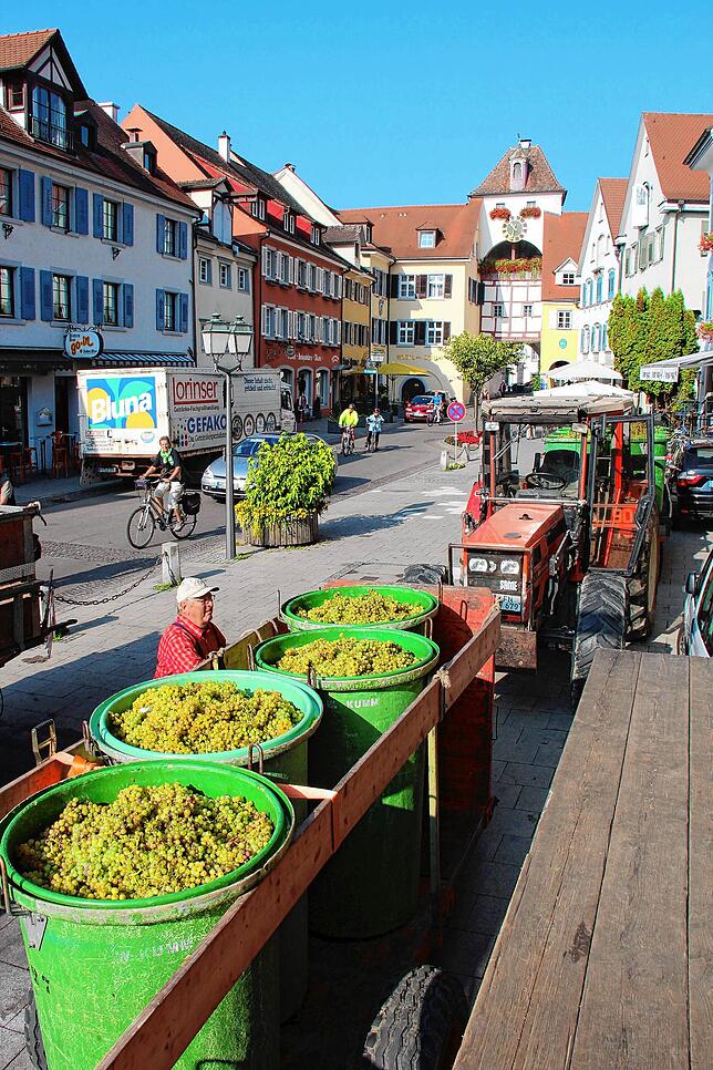 Die Rampe der Kelterei in der Meersburger Unterstadt kann nur mit Kleinfahrzeugen angefahren werden. Das hat sich in den vergangenen ...