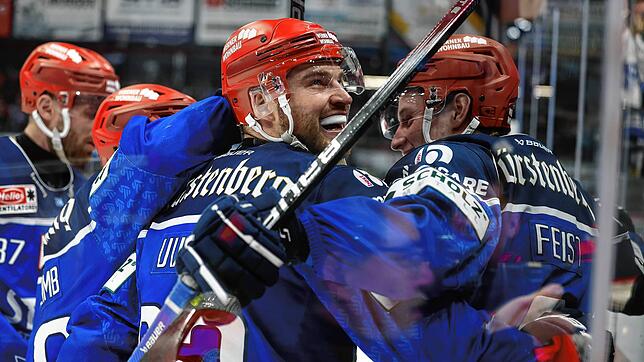 Die Vorfreude ist groß: Am Samstag starten die Wild Wings in das erste Playoff-Spiel gegen die Straubing Tigers.