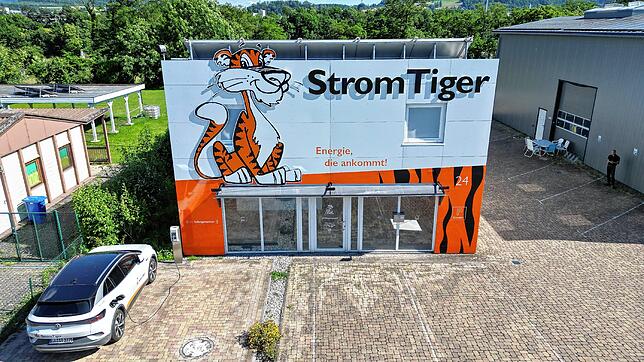 Bild : 50 Jahre StromTiger: Seit 50 Jahren unter Strom