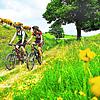 Eine Radtour durch den Schwarzwald.