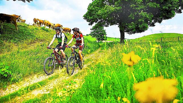 Eine Radtour durch den Schwarzwald.