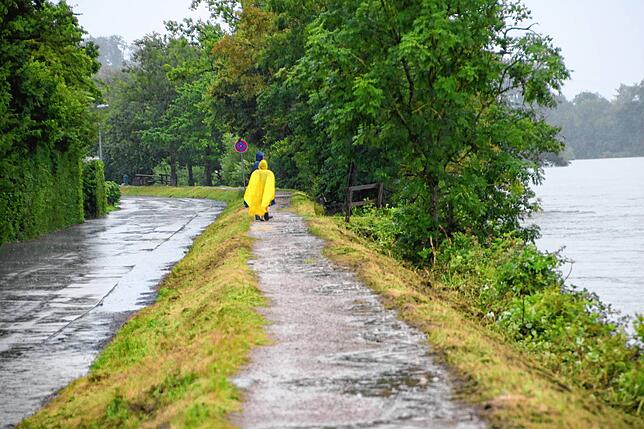 Hochwasser am Rheinuferweg in Waldshut