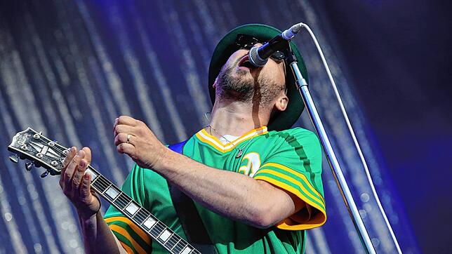 Bild 8: Die schönsten Bilder vom Beatsteaks-Konzert auf Klein Venedig
